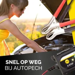 Acculader 6/12V 6 fasen IP65