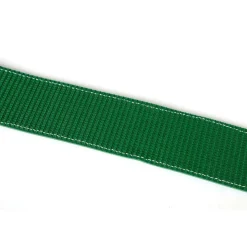 Auto transport spanband 250 cm - 5000 kg