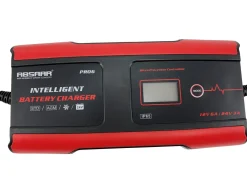 Processor gestuurde 11-staps acculader 12V/24V