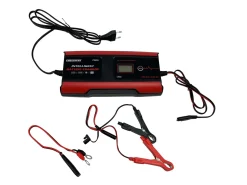 Processor gestuurde 11-staps acculader 12V/24V