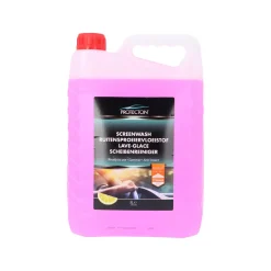 Ruitenvloeistof Zomer 5 Liter
